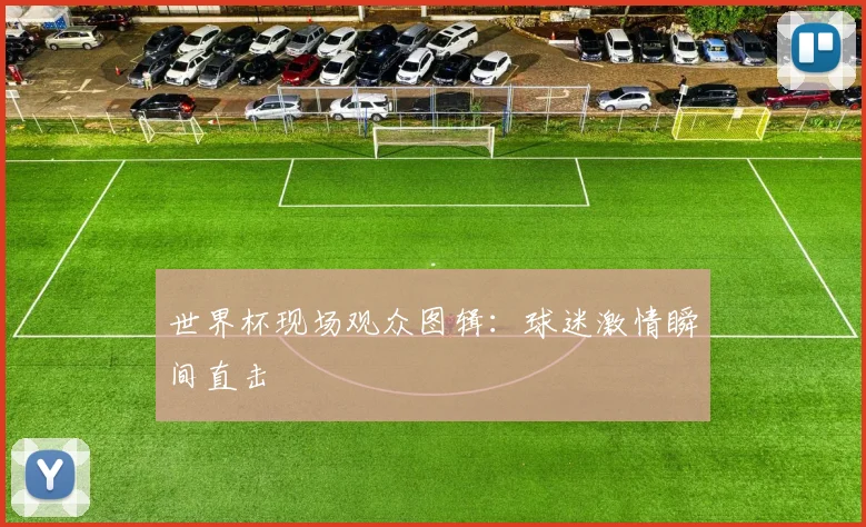世界杯现场观众图辑：球迷激情瞬间直击