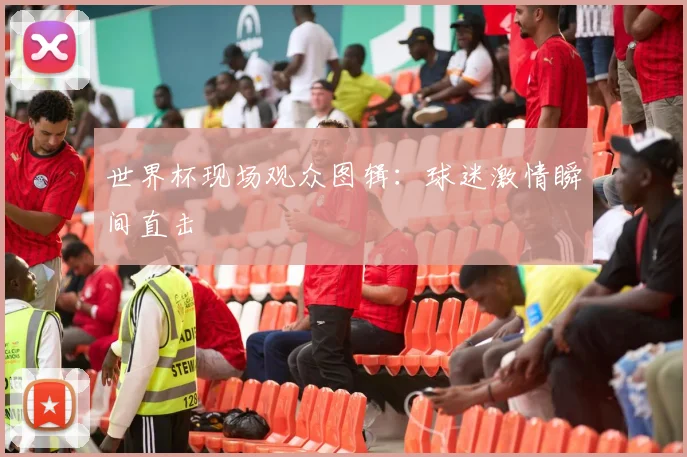 世界杯现场观众图辑：球迷激情瞬间直击
