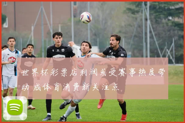 世界杯彩票店利润或受赛事热度带动 成体育消费新关注点