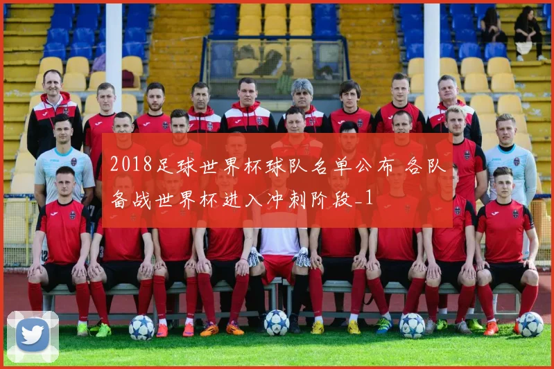 2018足球世界杯球队名单公布 各队备战世界杯进入冲刺阶段_1