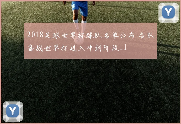2018足球世界杯球队名单公布 各队备战世界杯进入冲刺阶段_1